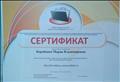 Сертификат участника сетевого профессионального педагогического сообщества "Netfolio" Сертификат участника сетевого профессионального педагогического сообщества "Netfolio"